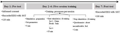 Synergistic effects of transcutaneous vagus nerve stimulation and inhibitory control training on electrophysiological performance in healthy adults